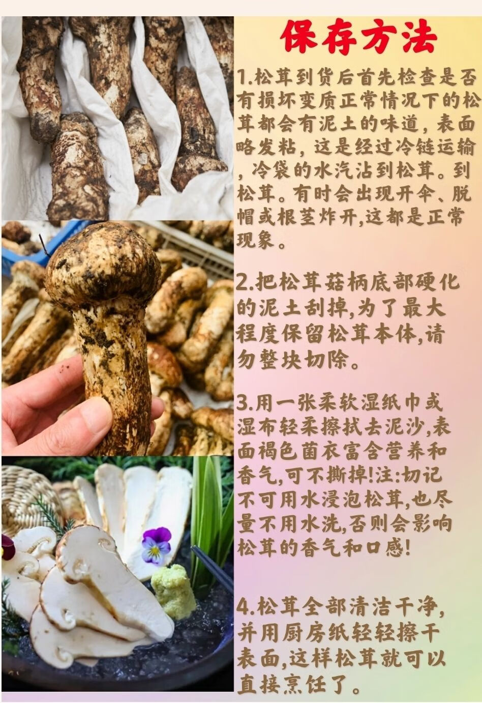 柠檬帮 【顺丰快递】新鲜野生松茸高海拔食用菌未开伞松茸菌 4-6cm