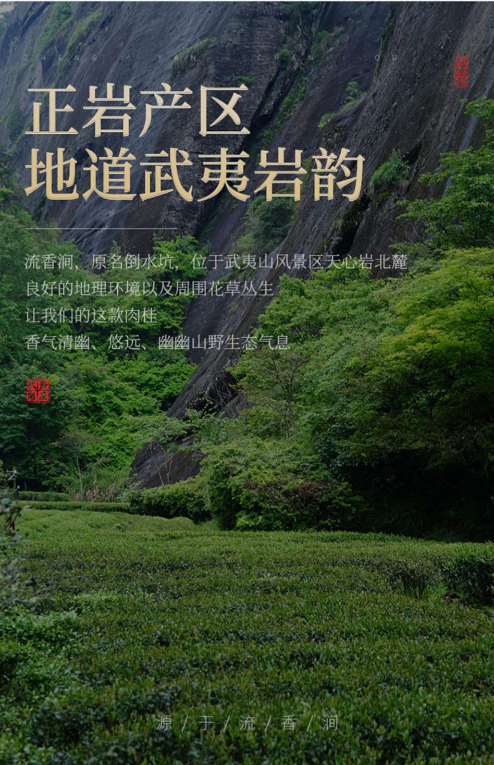 2022武夷山正岩流香涧肉桂乌龙茶大红袍茶叶礼盒装150g