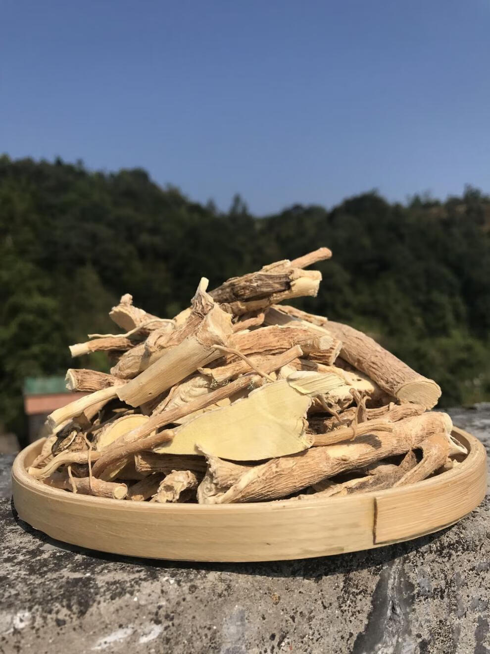 南昆深山倒吊王黄花倒水莲黄花大远志观音串黄花参500g【图片 价格