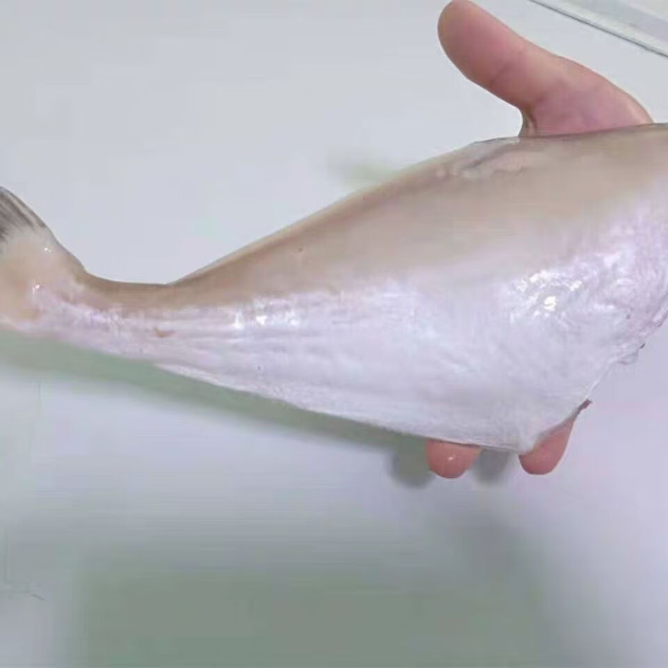 大号耗儿鱼每条1斤1条扒皮鱼马面鱼新鲜冷冻去头去内脏2斤广纳力驰2斤