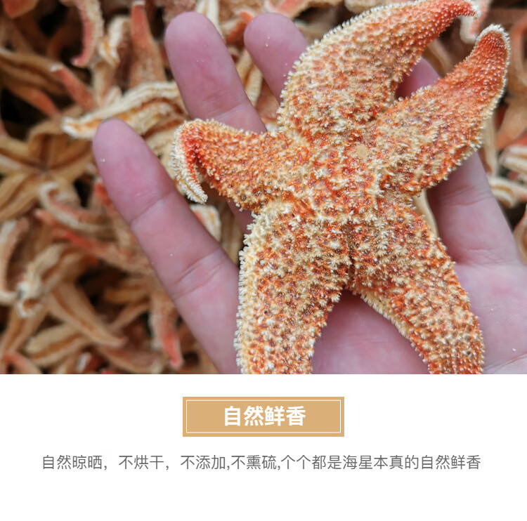 中药材 海星 泡酒料 海星干海盘车海星干货500g 滋补煲汤泡酒