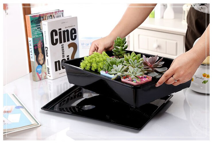 营养钵育苗盆多肉叶插育苗盘小黑方多肉种植整理盆长方形保温保湿育苗