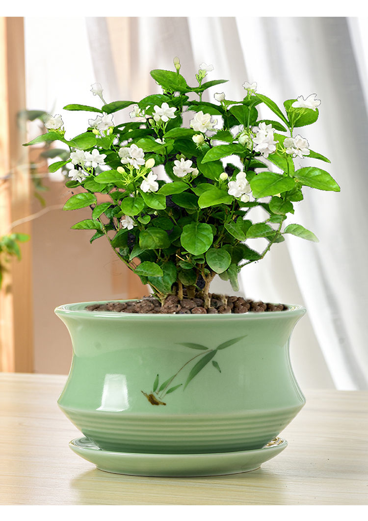 创意陶瓷花盆中国风大号茉莉花盆景绿植哥窑花盆多肉紫砂复古粗陶 梅