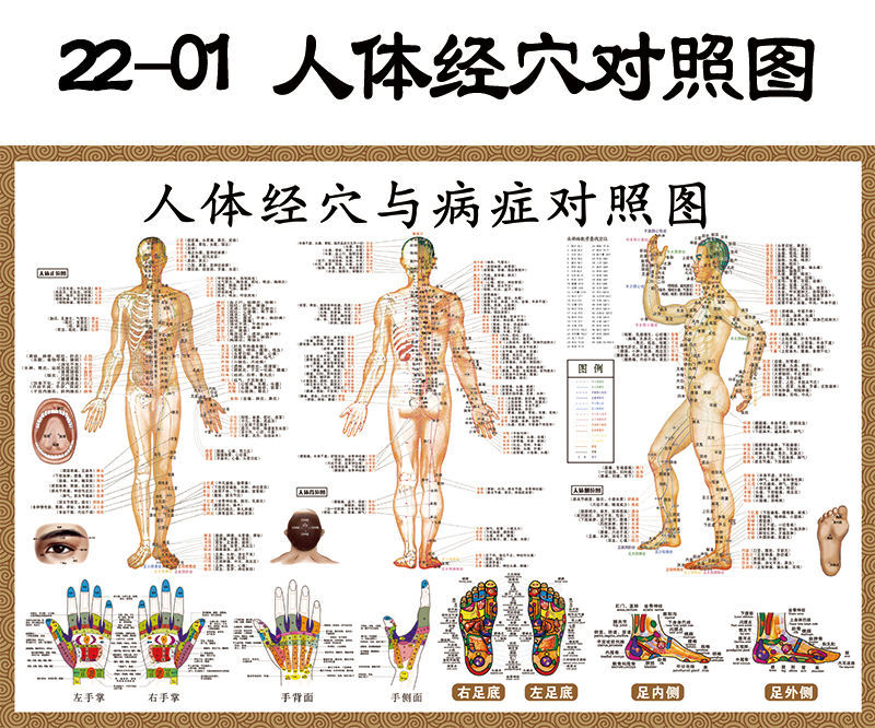 人体穴位挂图中医养生馆贴画病症对照图全身穴位海报针灸艾灸海报2202