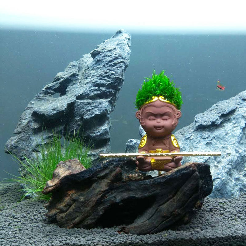 荣郁鱼缸造景孙悟空摆件活体水草观赏鱼虾螺蟹水族箱网红猴淡水活体