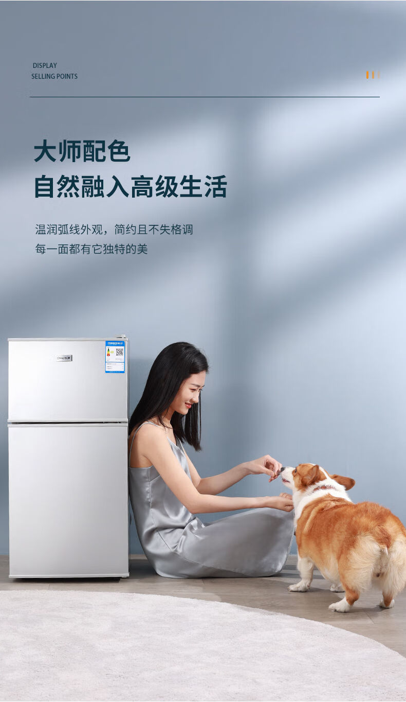 长城小冰箱家用两门小型迷你冰箱宿舍租房冰柜冷冻冷藏一级节能63l