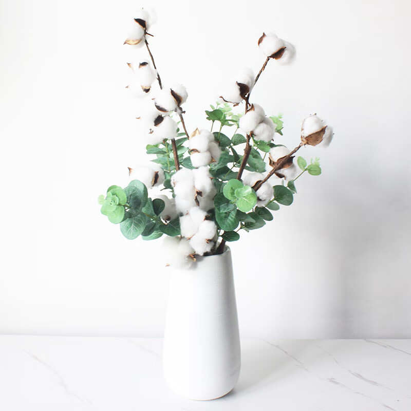 棉花干棉花干花花束真棉花大枝北欧装饰ins风客厅插花摆件 白色4支
