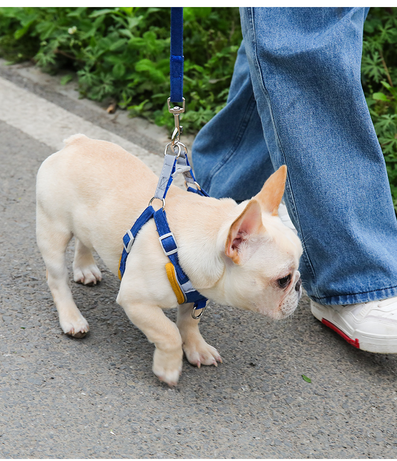 和御烧狗狗牵引绳背心式狗绳猫链子遛狗胸背带小中型犬法斗泰迪宠物