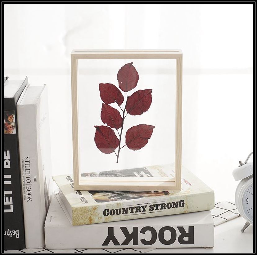 四叶草标本相框植物标本制作工具双面银杏蝴蝶创意相框挂画手工收集