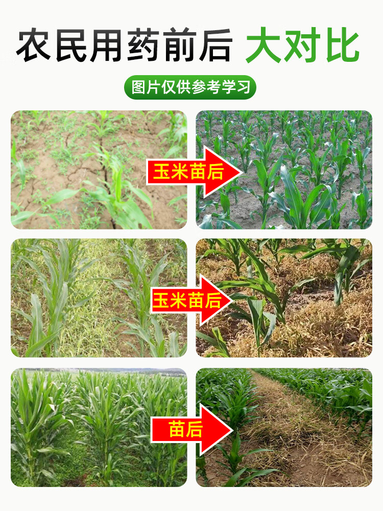 玉米专用除草剂苗后安全型玉米地杂草封地烟嘧磺隆莠去津禾阔双除120
