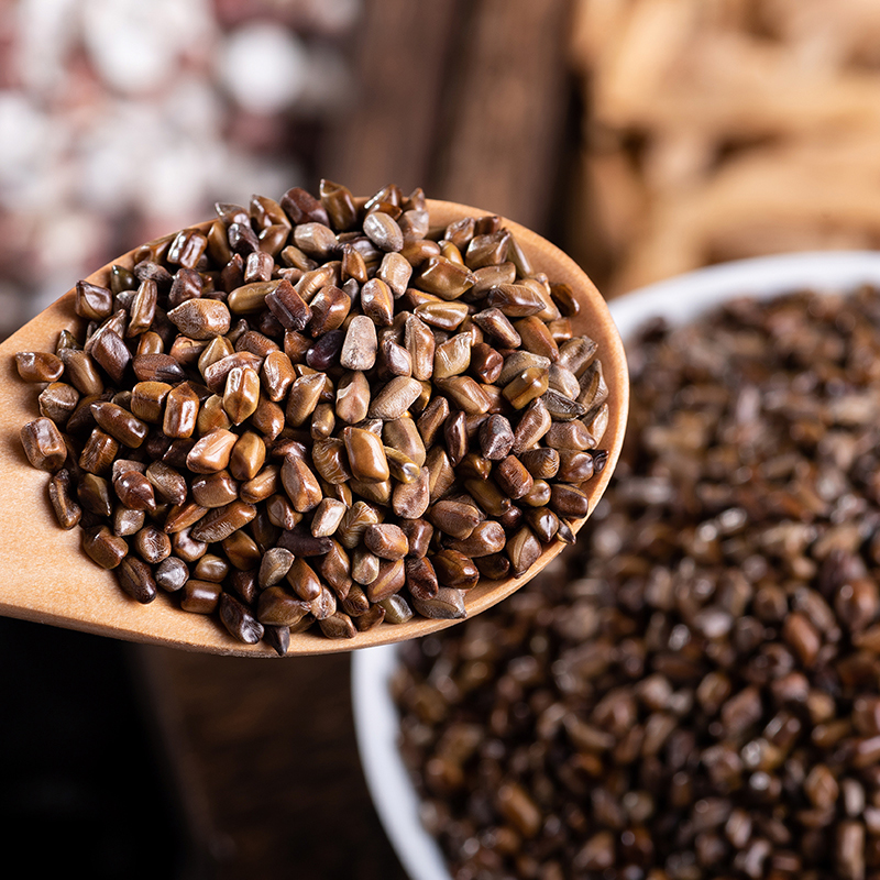 康美决明子 草决明 羊角马蹄决明 中药材饮片 决明子 500g/50包