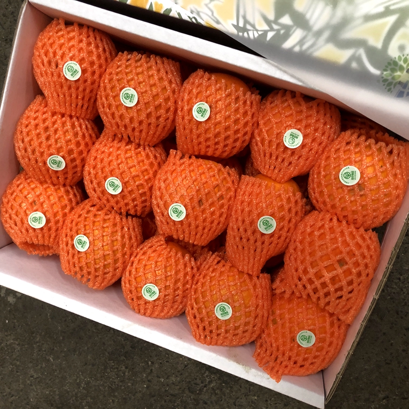 臻果炫蜜柑沃柑柑橘甜多汁孕妇水果无核沃柑8斤礼盒顺丰坏果包赔4斤半