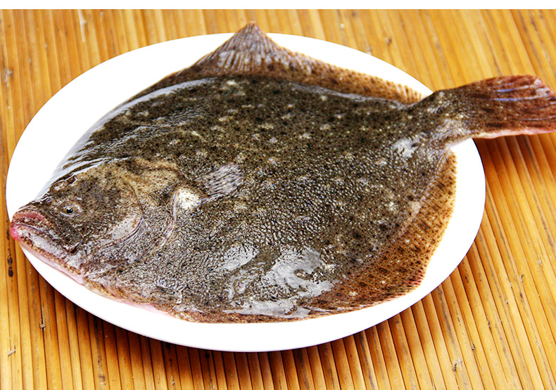 新鲜大多宝鱼鲜活速冻海鲜水产3条3斤大菱鲆比目鱼海鱼【图片 价格 品