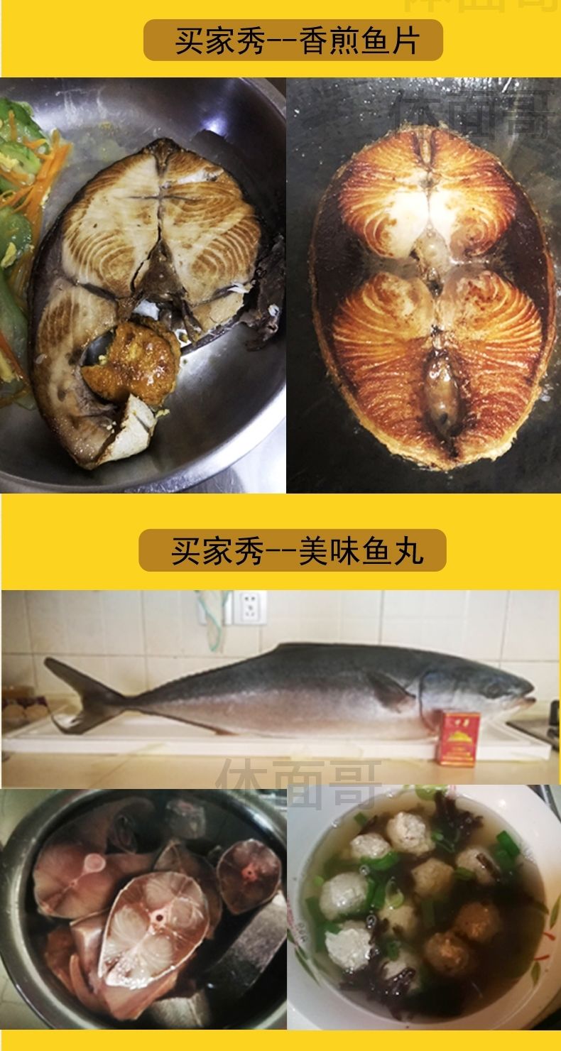 鲜美惊 大鱼海鲜鱼黄鰤鱼黄金鲅非马鲛鱼鲅鱼 10斤-12斤