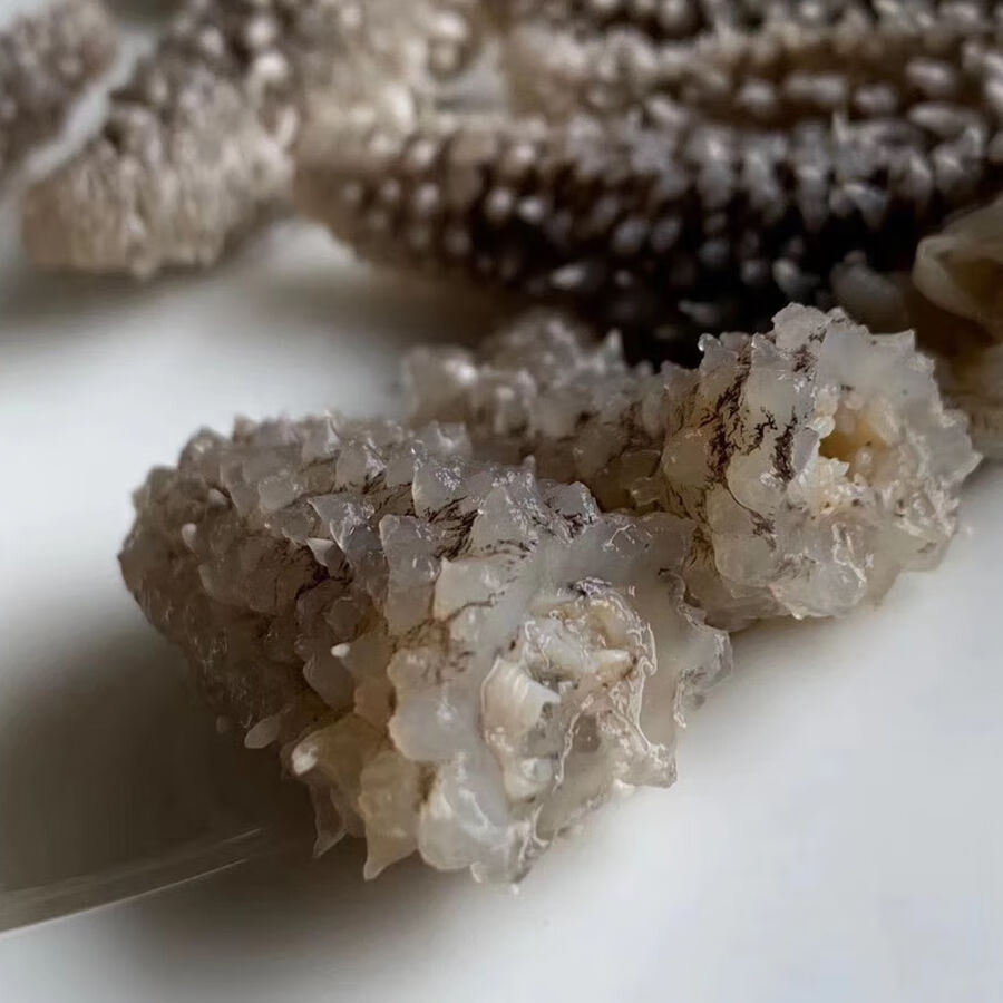 海参印尼白刺参白秃海参泡发肉质鲜嫩口感q弹营养丰富干货500克包