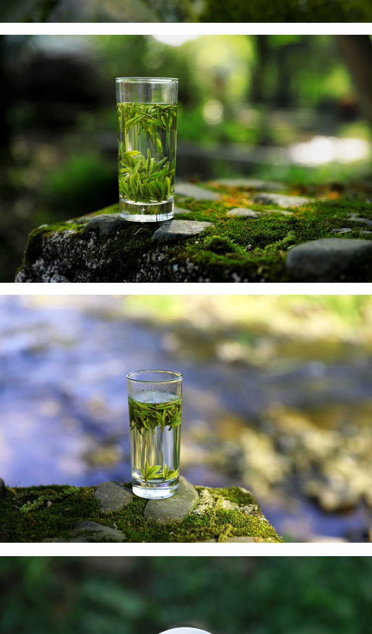 晨臻2021年新茶长兴核心产区顾渚紫笋茶新茶高山绿茶明前浓香 50g 香