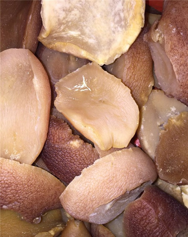 螺肉干货 螺头 响螺肉 整只 海螺肉 煲汤食材500g【图片 价格 品牌