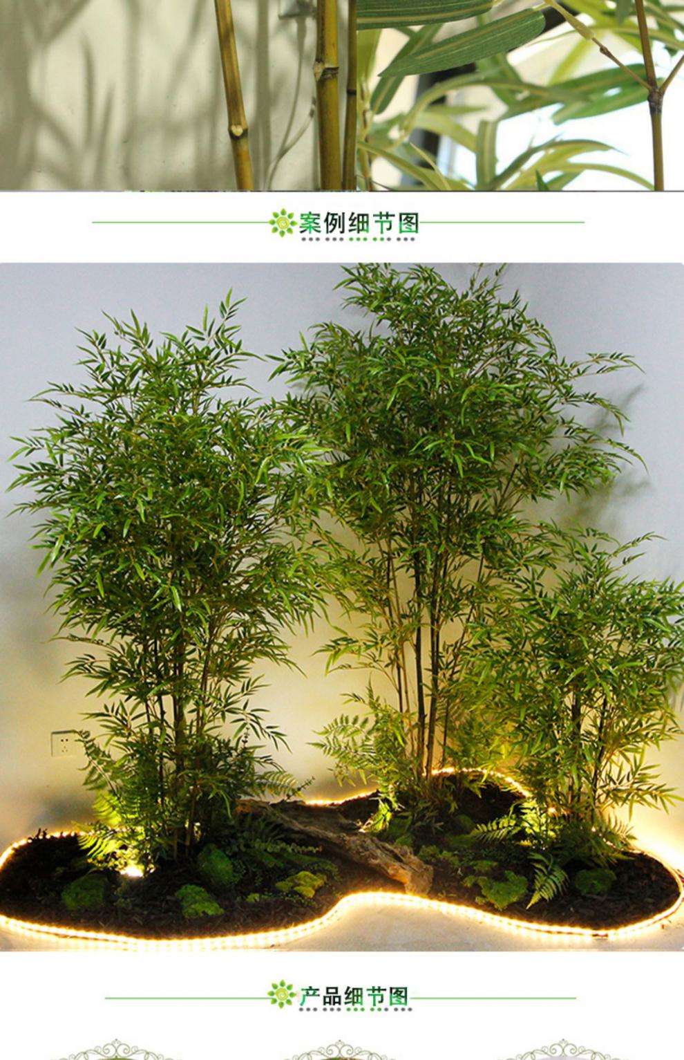 竹子植物造景盆景细水毛竹绿植客厅酒店装饰 永生苔藓1盒【图片 价格