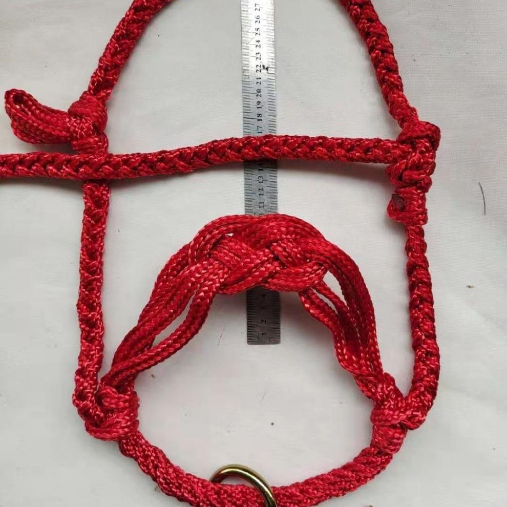 家恒宝飞机网绳牛笼头编花牛龙头纯手工编织大小牛龙头绿色四股辫花牛
