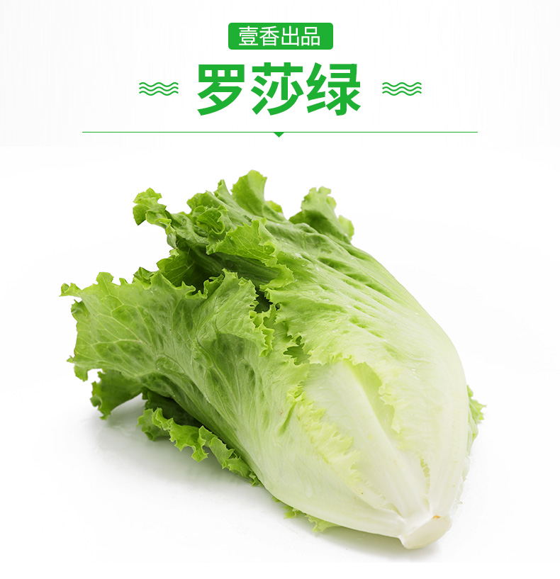 源外园罗莎绿新鲜蔬菜沙拉食材色拉绿叶花叶生菜3斤