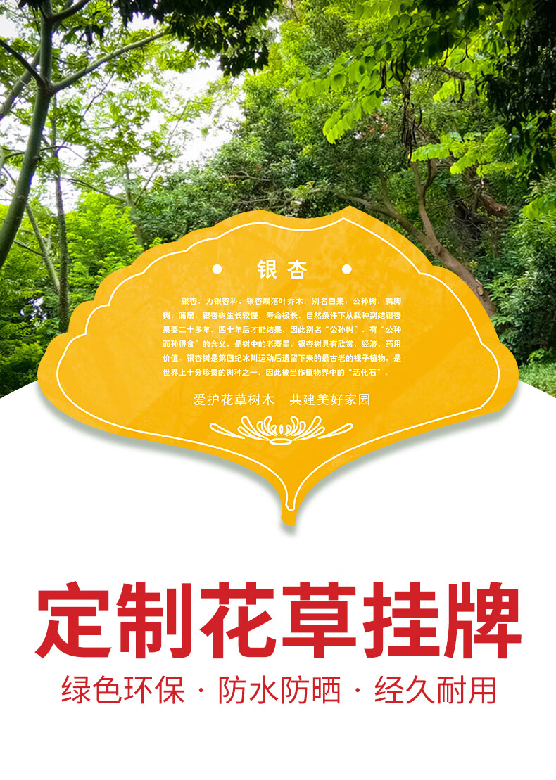 学校树木介绍牌 花草牌亚克力树牌植物绿化标识牌树木介绍挂牌木广告