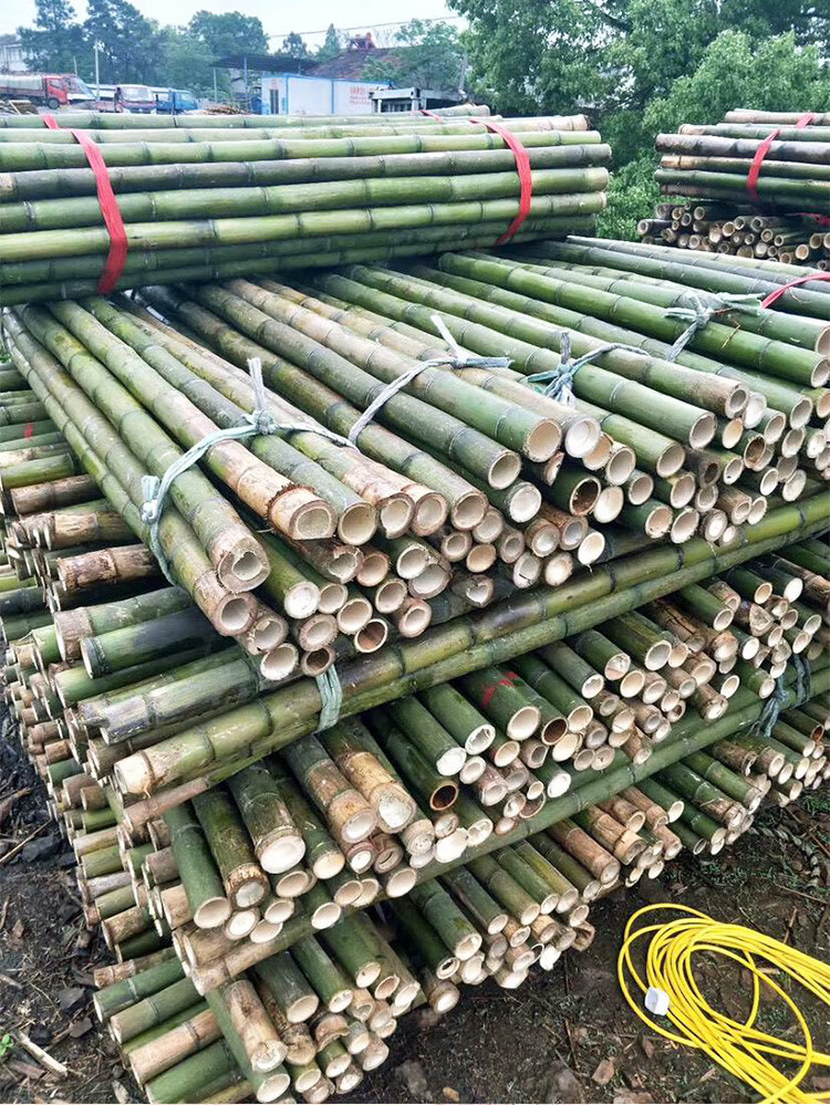 珊野小竹杆架种菜园搭架豆角黄瓜架竹篱笆栅栏彩旗杆粗楠防腐竹竿装饰