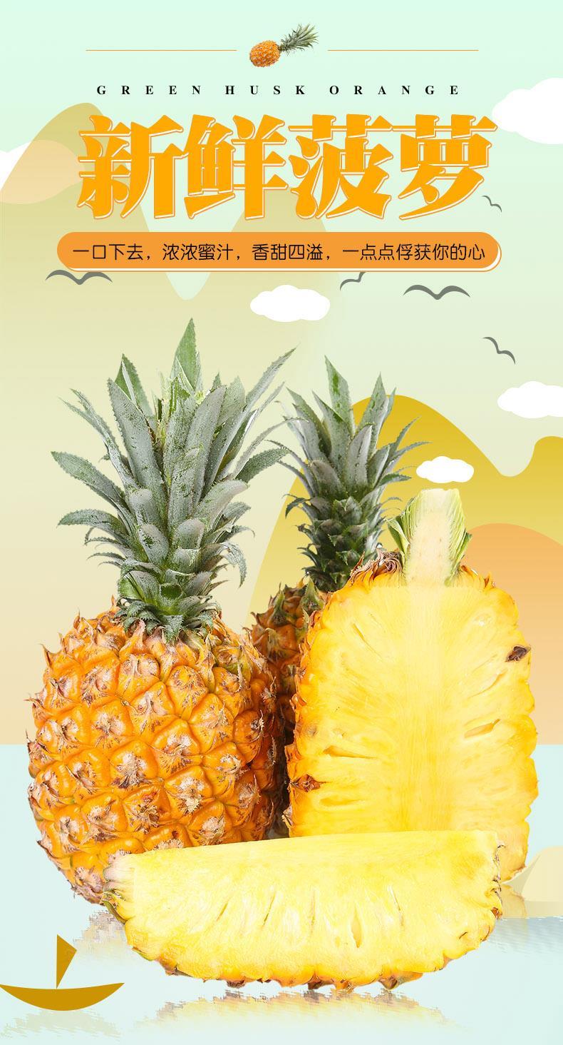 (广东直发)广东湛江徐闻香水菠萝凤梨新鲜水果当季波萝特产现摘 5斤