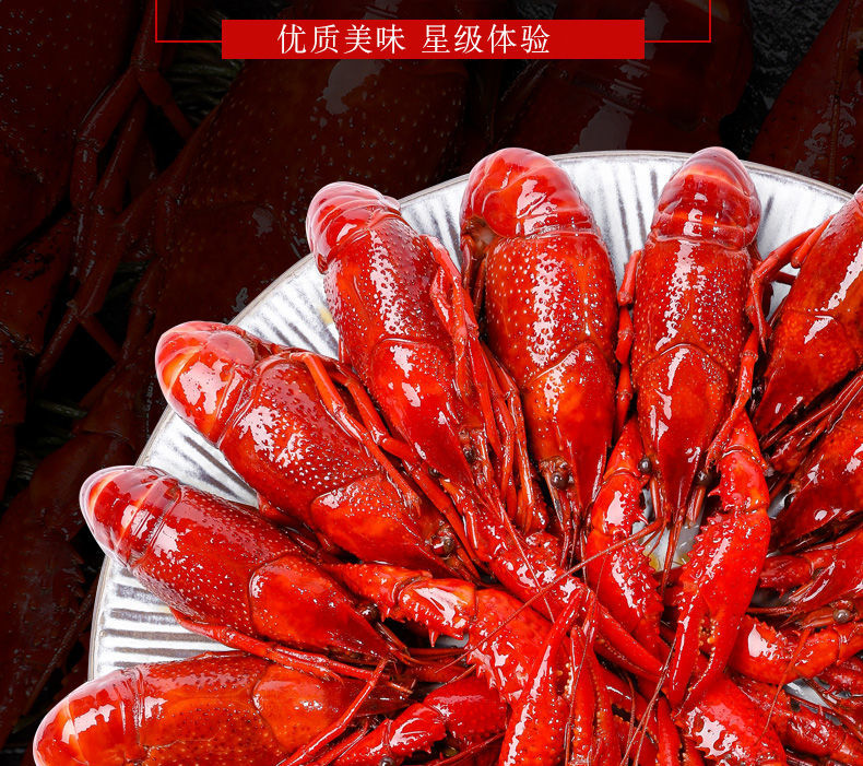 冷链速运鲜活小龙虾江苏养殖小龙虾淡水水产活体活虾麻辣香辣5斤234钱
