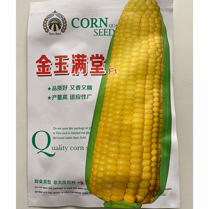 金玉满堂玉米种子种籽水果蔬菜春季四季基地种孑甜玉米种子 金玉满堂