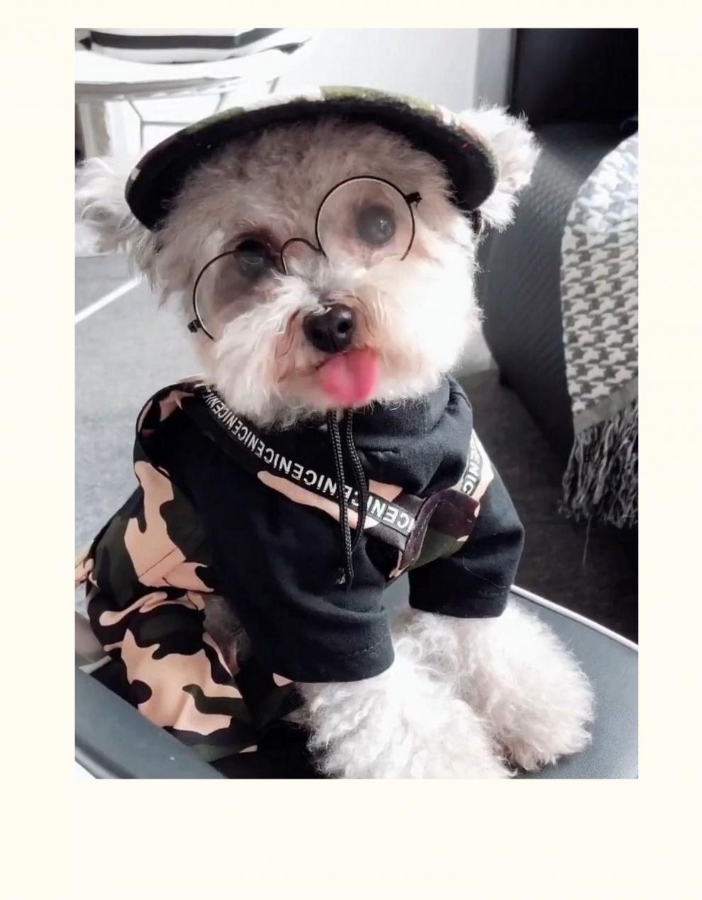 宠物比熊泰迪帽子棒球帽子网红帽子狗狗帽子可爱法斗帽子头饰 红色 m