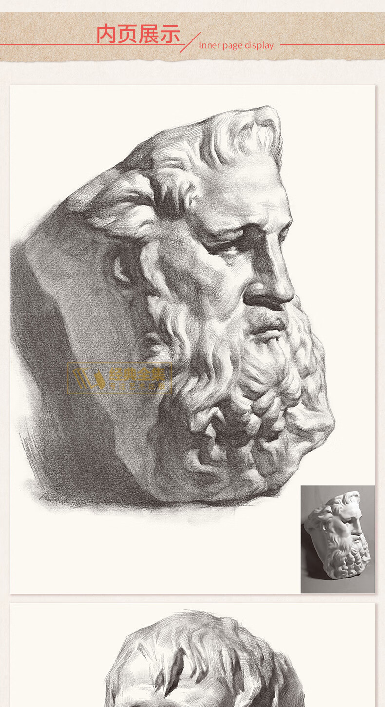 经典素描石膏像【4册】素描石膏像 石膏像照片 艺用解剖学 伯里曼
