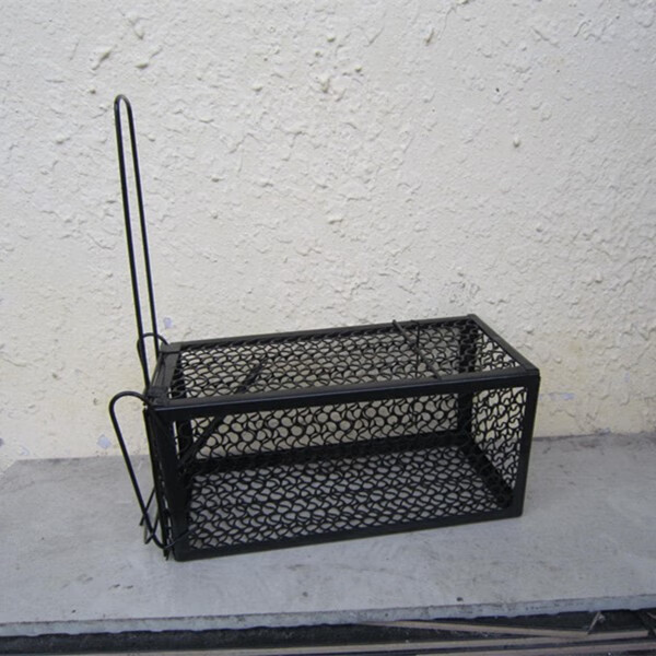 老鼠自动多功能连续抓水桶捕老鼠器捕鼠器家用捕鼠室内见描述