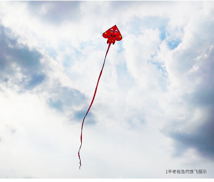 追风者风筝风筝追风者风筝544软伞布碳杆老板鱼风筝鳐鱼风筝促销仅12