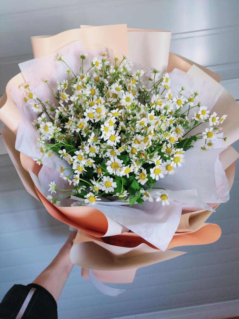 钰尚上海小雏菊洋甘菊混搭玫瑰桔梗花束鲜花速递同城北京生日配送花店