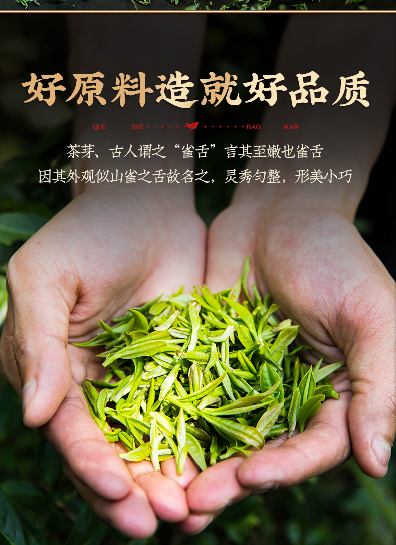 茶叶雀舌特级新茶贵州明前绿茶雀舌新茶嫩芽浓香型罐装