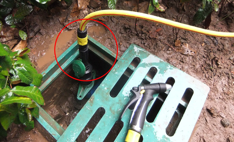 园林取水阀快速取水器6分内丝绿化水龙头草坪园艺浇水洒水栓dn206分