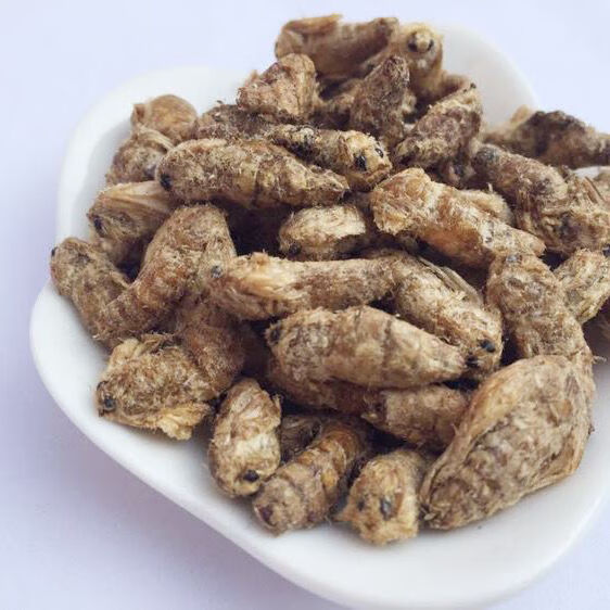 雄蚕蛾 中药材 原蚕蛾 蚕蛾纯雄 雄蚕蛾粉 泡酒料 100g/1000克 纯雄