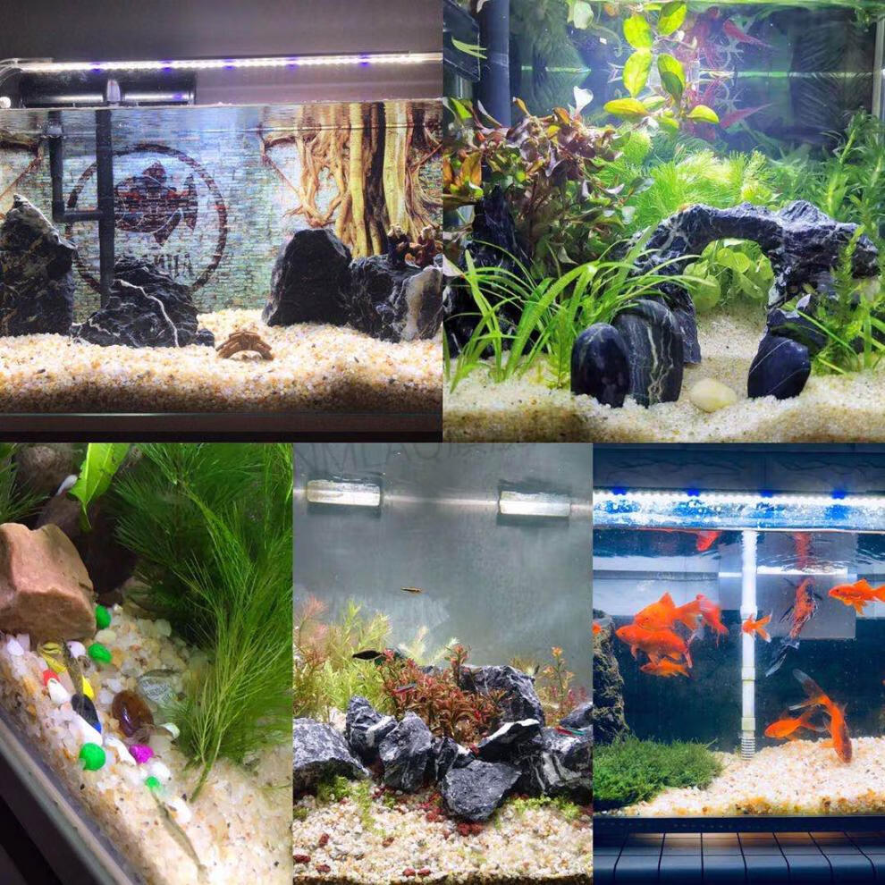 2022新款 鱼缸造景沙子 水晶沙鱼缸底砂造景沙石天然河沙彩石子黄金沙