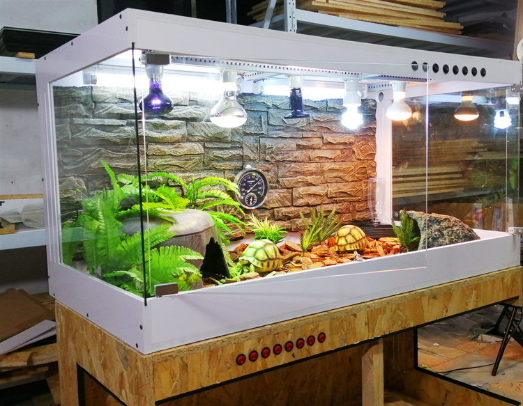 pvc爬箱寄居蟹黄缘龟饲养箱守宫蜥蜴刺猬爬宠饲养保温箱恒温60裸箱箱