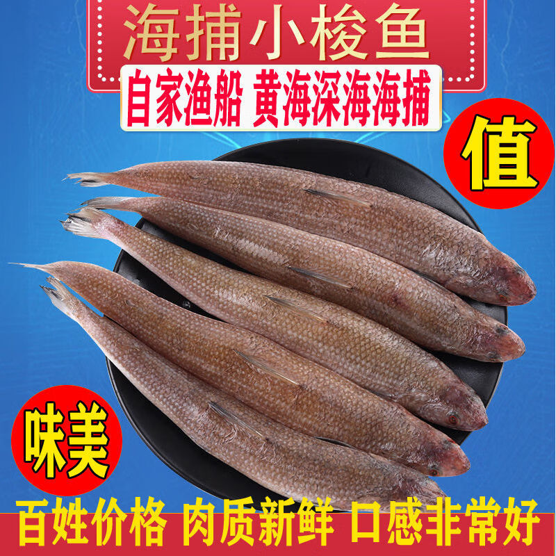 深海小魚犬魚尖頭西鯔魚烏鯔白眼海鮮水產 5斤特大梭魚大一些好【圖片