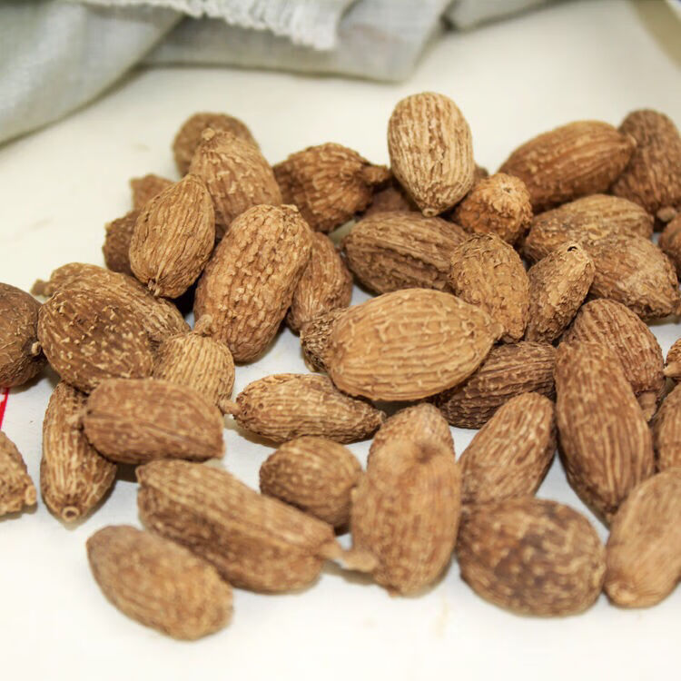 砂仁砂仁新货正宗阳春砂仁500克香料大料多规格砂仁500克装