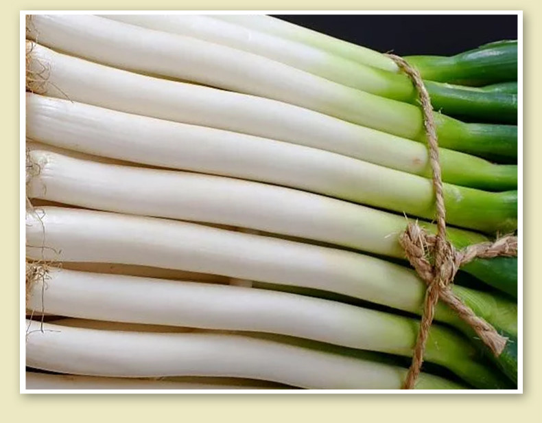 香脆辣山东农家自种新鲜大葱白甜长葱蔬菜应季时令整箱铁杆大葱2500g