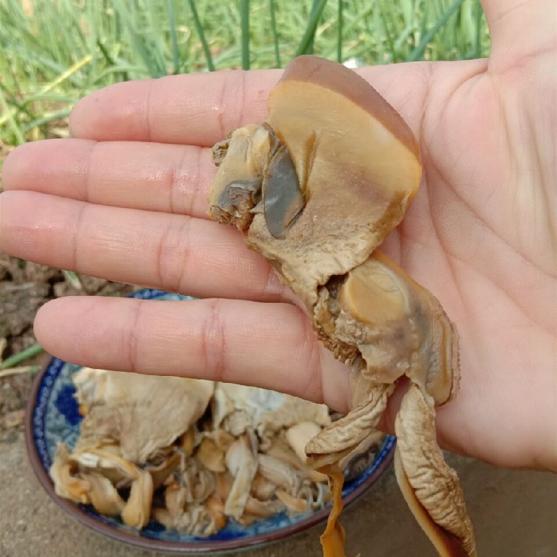 河蚌肉湖南农家大蚌壳肉去壳净肉500g真空包装 490克蚌肉【图片 价格