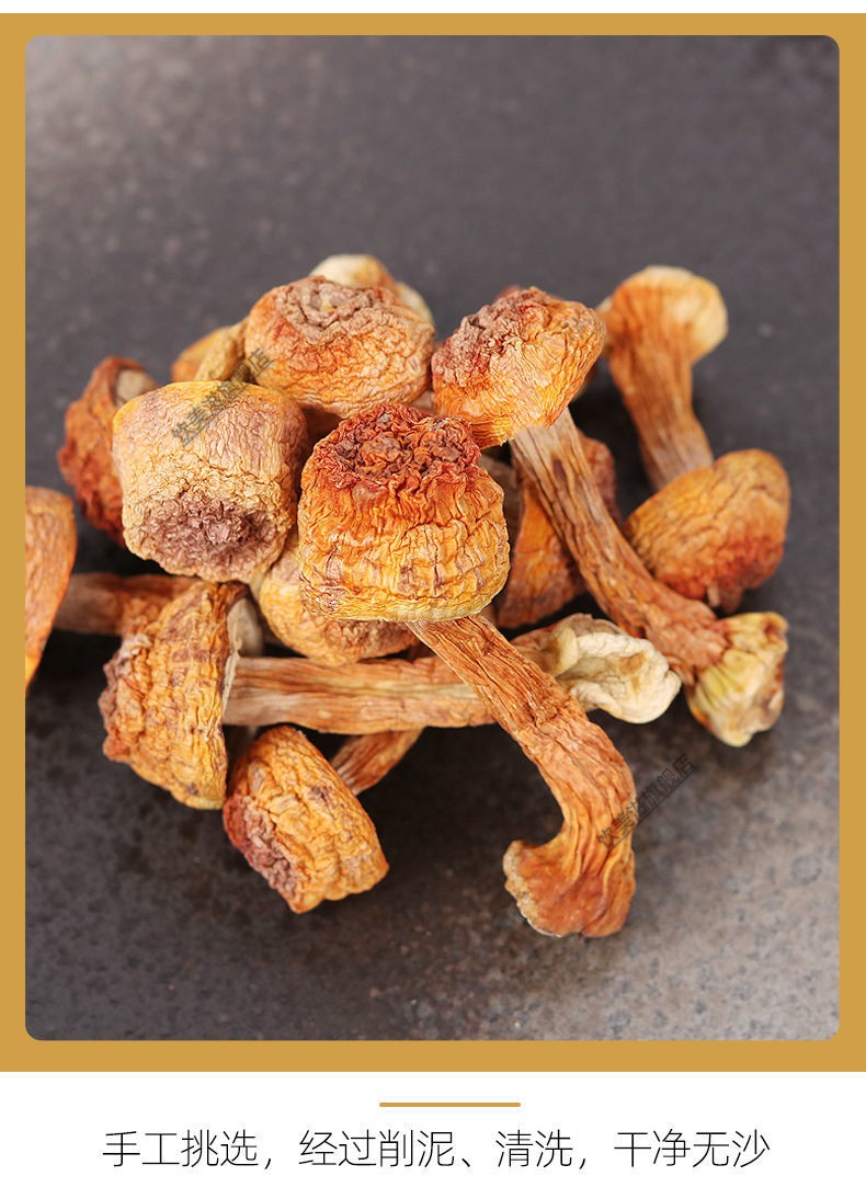 云南姬松茸菇巴西蘑菇姬松茸菌汤包香菇菌种煲汤食用菌 品质姬松茸 新