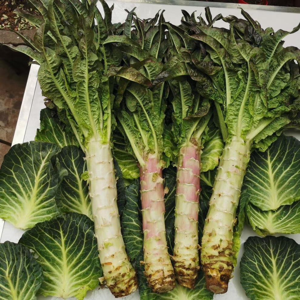 去皮莴笋新鲜农家自种蔬菜新鲜菜当季时令真空包装莴苣青笋子3斤装
