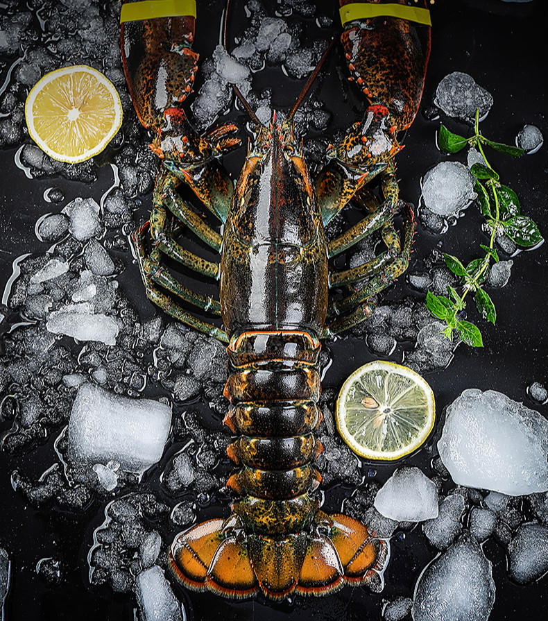 迈啃吱(maikenzhi)大龙虾鲜活特大虾波士顿大龙虾1-12斤加拿大波龙