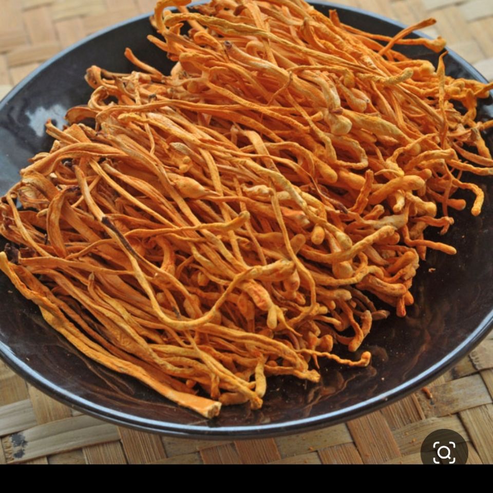 虫草花:虫草花干货金蛹虫北虫草农户批发煲汤 500克【图片 价格 品牌
