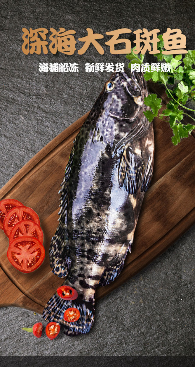 深海石斑鱼鲜活石斑鱼石斑鱼冷冻珍珠斑鱼龙胆老虎斑丽鲜玫深海大石斑