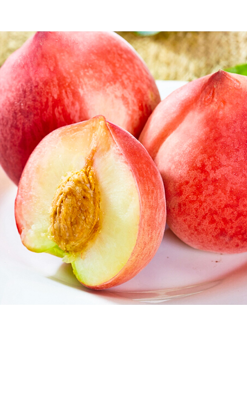 【果园现摘】丽江雪桃 桃子大果现摘现发新鲜水果当季新鲜现摘直发