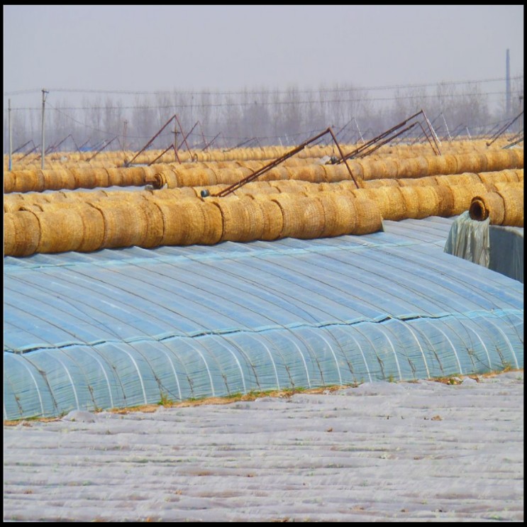 古之南草苫稻草帘子保温蔬菜大棚草帘稻草垫子保温帘干草垫夏季隔热